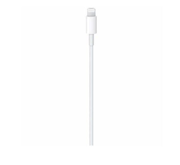 APPLE 1M USB-C/LIGHTNING CABLE (6739051)